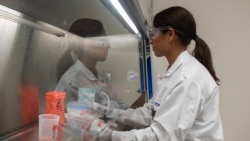 Novavax se pridružuje drugim farmaceutskim kompanijama, uključujući Pfizer i Modernu, koje takođe testiraju svoja cjepiva protiv novog soja korona virusa