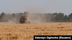 A combine harvester gathers barley in a field near the Ukrainian village of Zhovtneve.(file photo)