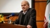 'No Evidence' Detained Iranian Environmentalists Are Spies