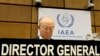 IAEA Renews Call For Iran's 'Timely, Proactive Cooperation' In Nuclear Inspections