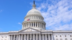 Corespondența zilei de la Washington cu Valeriu Sela