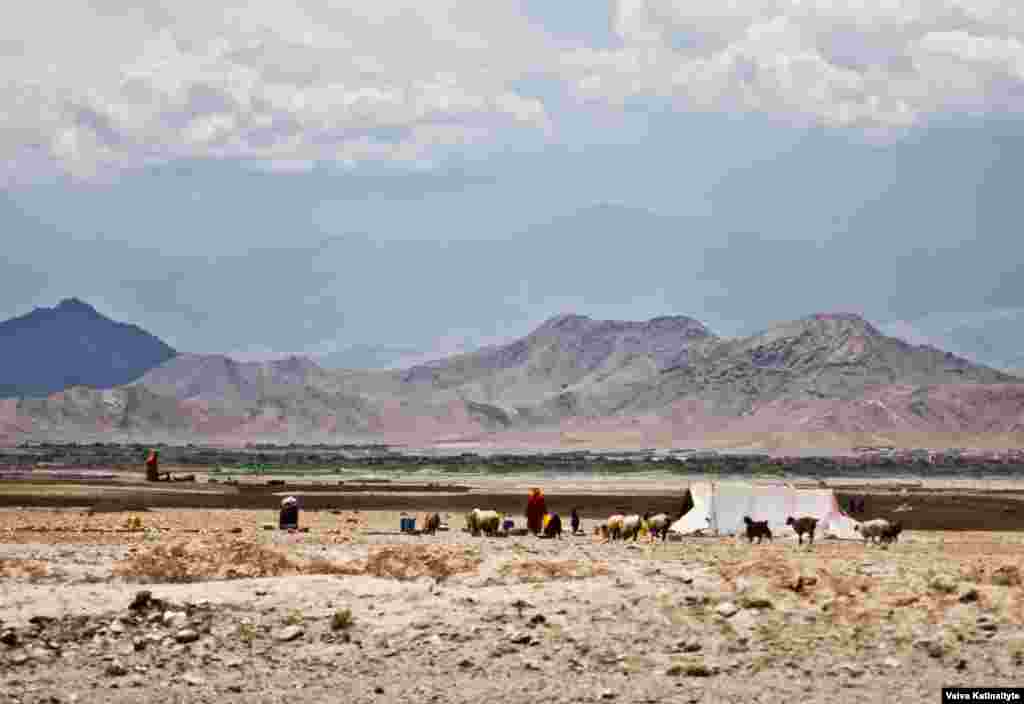 The Kuchis migrated from warmer lowlands in winter to mountain pastures in summer. They played an important part in the economy by producing meat and fabrics used for making carpets. 