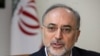 Iran To Make Fuel For Medical Reactor
