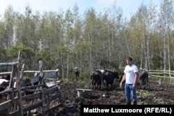Mikhail Utrobin on his farm in the Far East, built on 5 hectares he acquired free from the Russian state. While he has yet to turn a profit, his farm produces 200 liters of milk per day and offers its own line of organic ice cream.