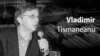 Înălțimile suverane: Hannah Arendt, amor mundi și catastrofele secolului XX
