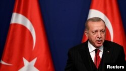 د ترکیې ولسمشر رجب طیب اردوغان