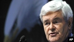 Newt Gingrich