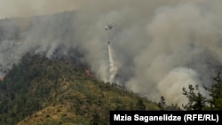 ხანძართან ბრძოლა ბორჯომის ხეობაში
